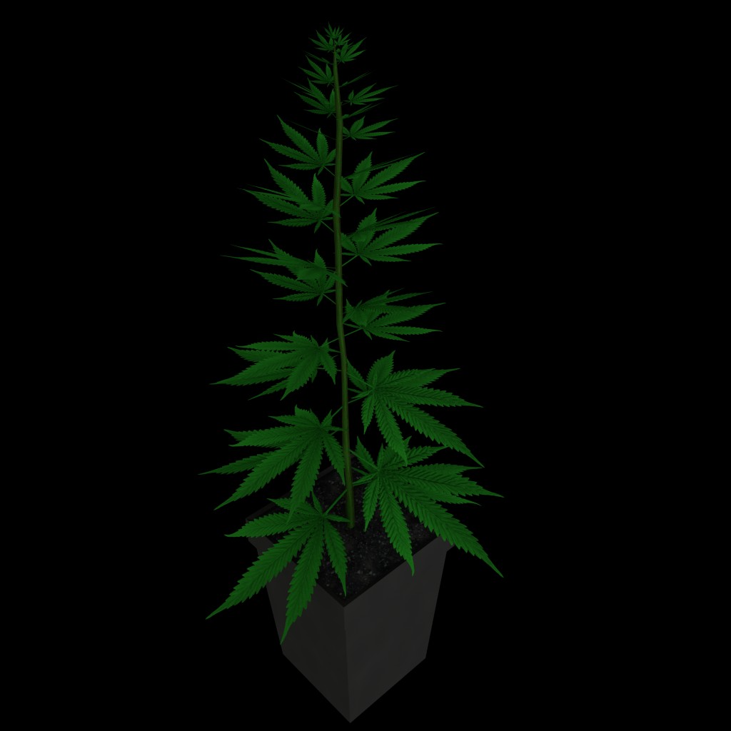 Hemp Plant - free4all preview image 2